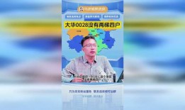 最新圈内爆料大华集团,揭秘企业内部变革与未来发展动向